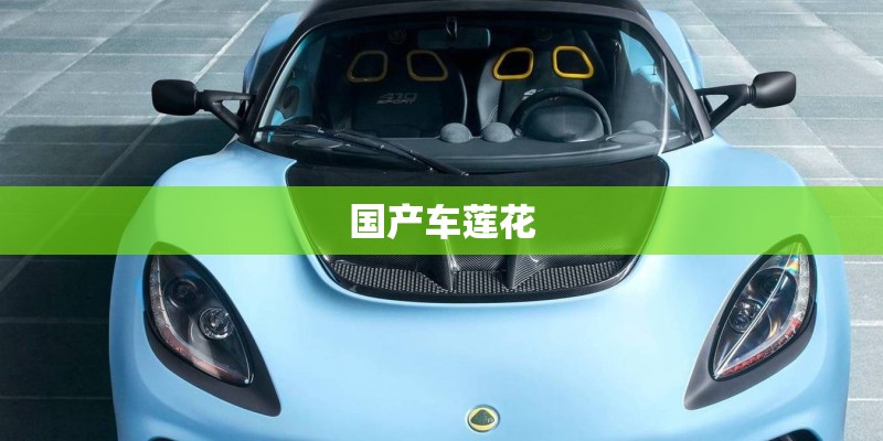 国产车莲花