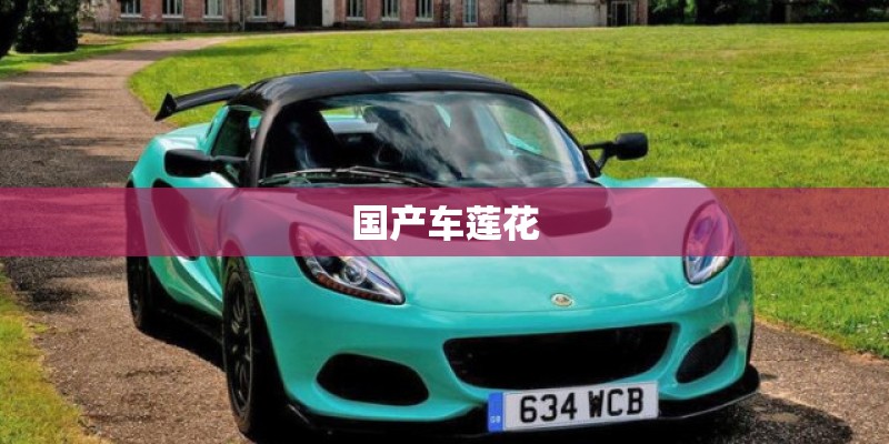 国产车莲花