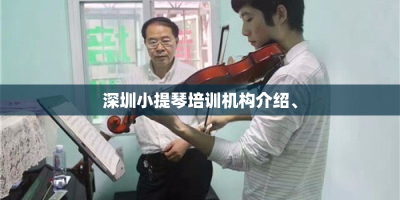 深圳小提琴培训机构介绍、