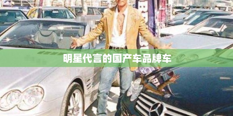 明星代言的国产车品牌车