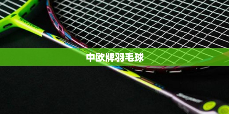 中欧牌羽毛球