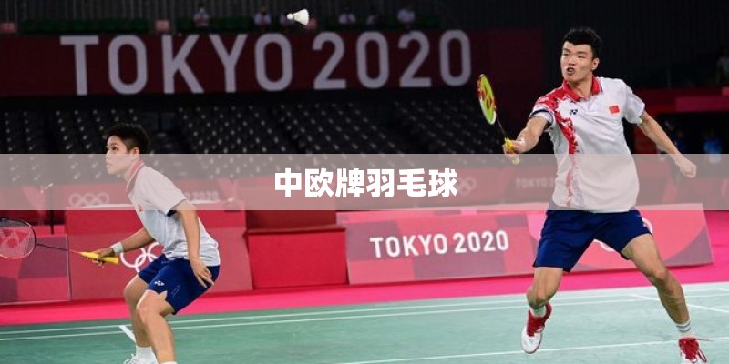 中欧牌羽毛球