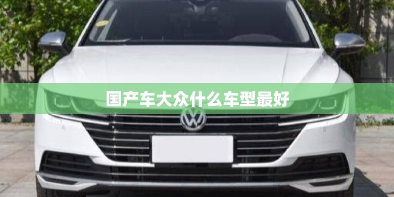 国产车大众什么车型最好