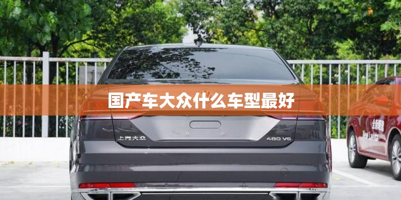 国产车大众什么车型最好