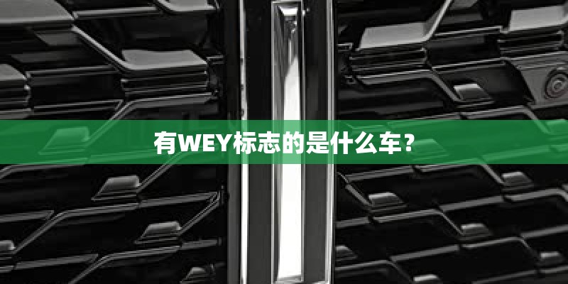 有WEY标志的是什么车？