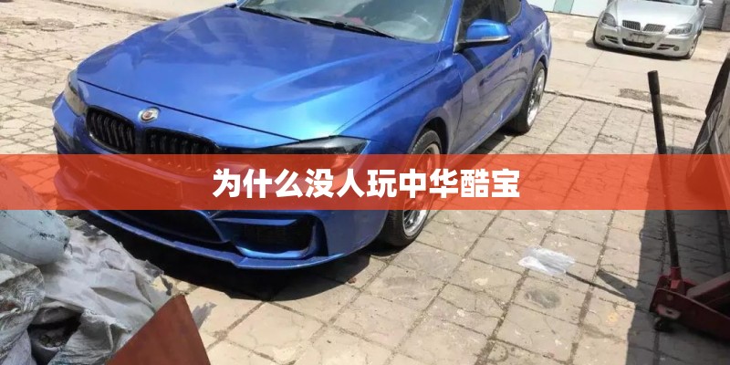 为什么没人玩中华酷宝