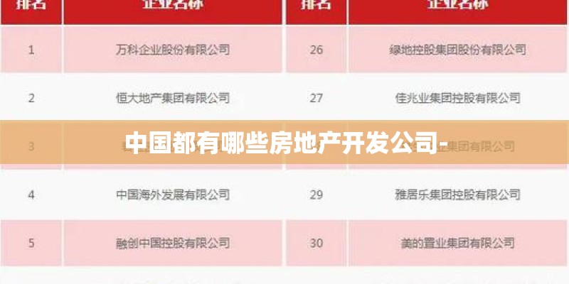 中国都有哪些房地产开发公司-