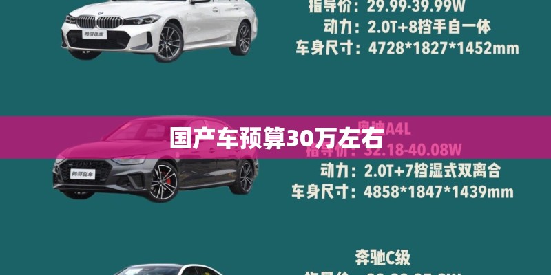 国产车预算30万左右