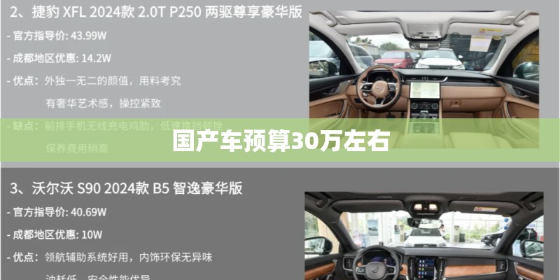 国产车预算30万左右