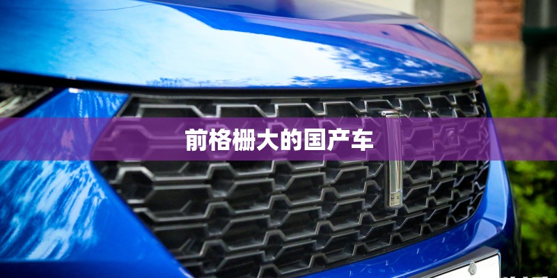 前格栅大的国产车