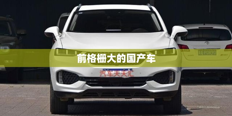 前格栅大的国产车