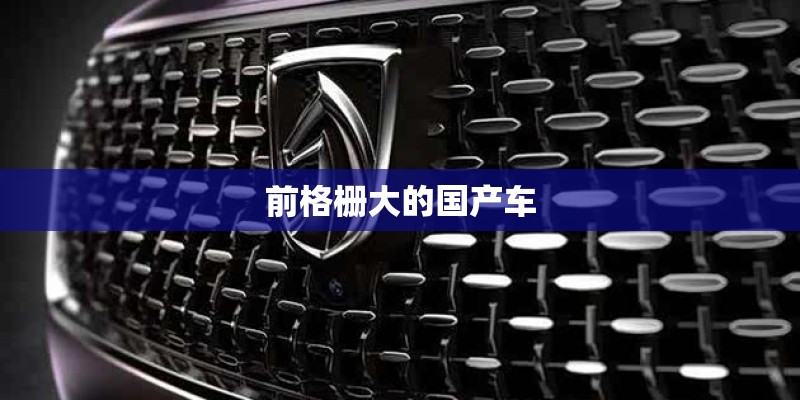 前格栅大的国产车