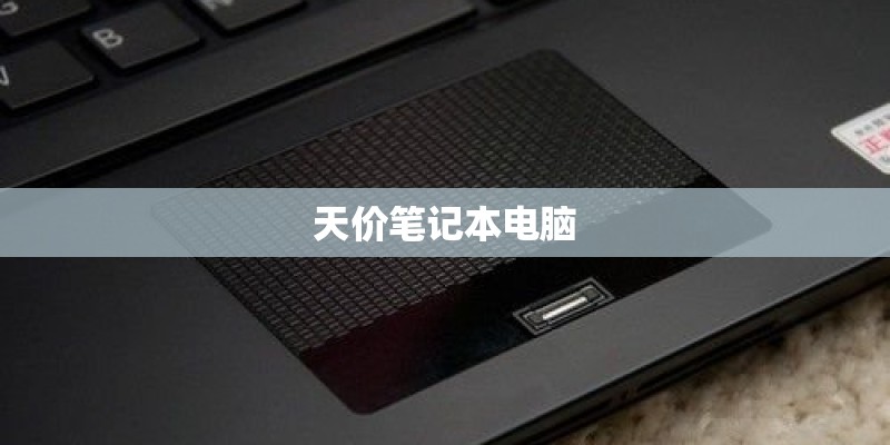 天价笔记本电脑