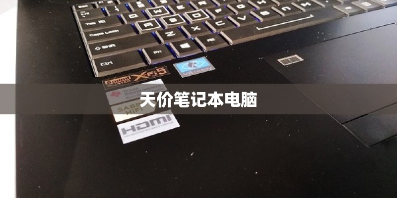 天价笔记本电脑