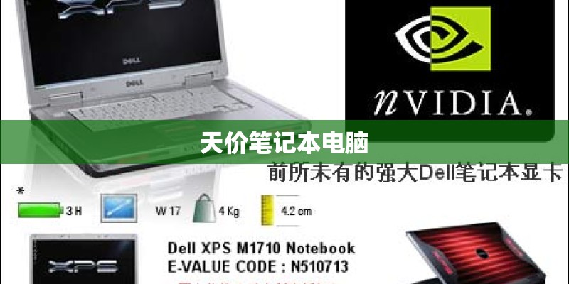 天价笔记本电脑