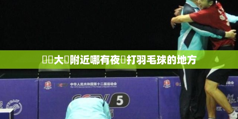 廈門大學附近哪有夜間打羽毛球的地方