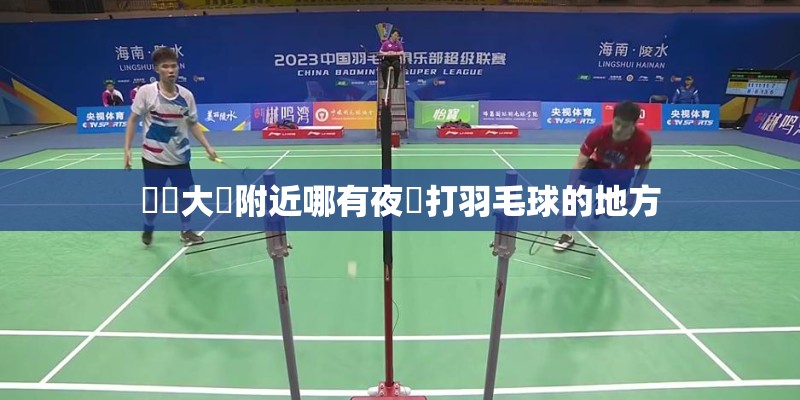 廈門大學附近哪有夜間打羽毛球的地方