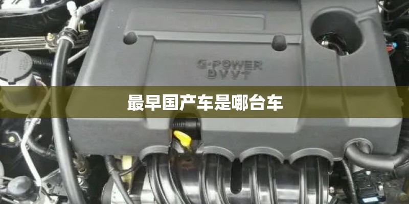 一种藤本植物 开的花很香