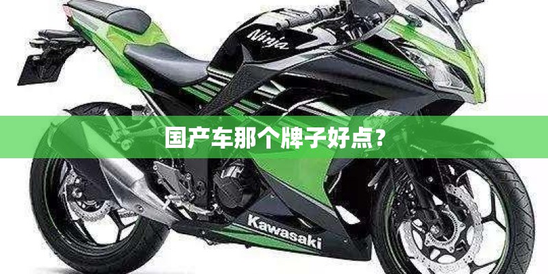 国产车那个牌子好点？