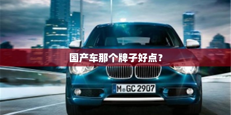 国产车那个牌子好点？