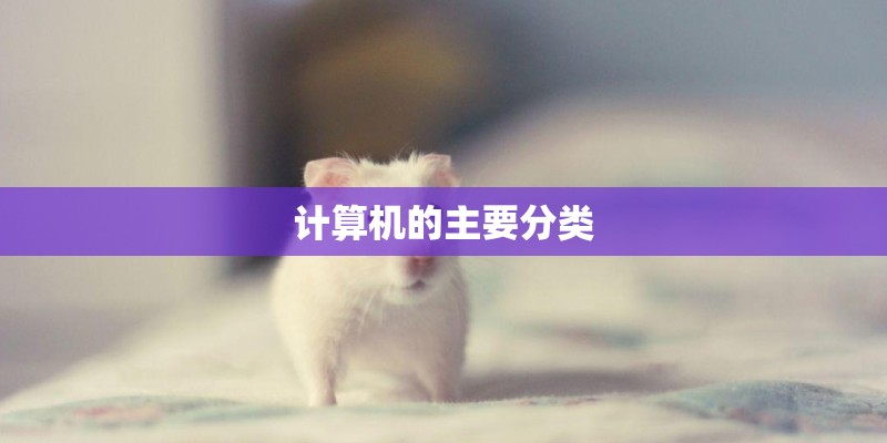 计算机的主要分类
