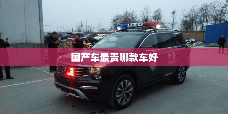国产车最贵哪款车好