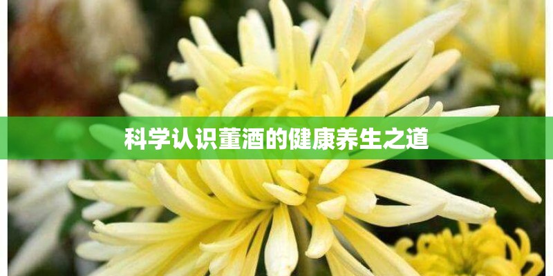 科学认识董酒的健康养生之道