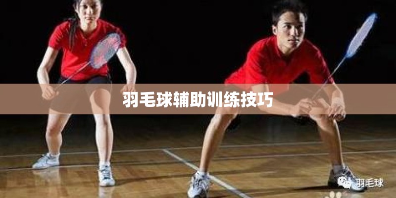 羽毛球辅助训练技巧