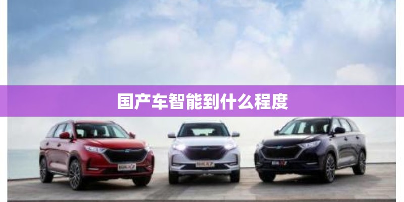 国产车智能到什么程度