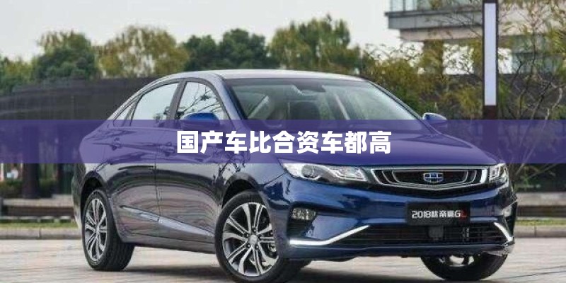国产车比合资车都高