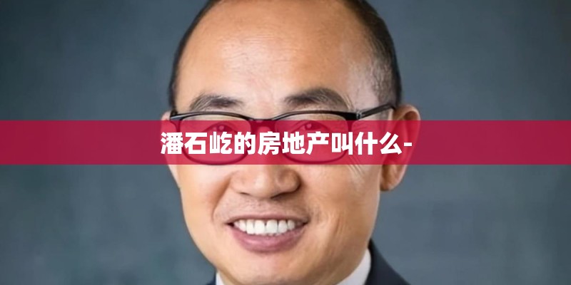 潘石屹的房地产叫什么-