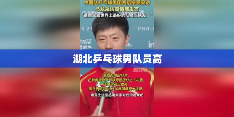 湖北乒乓球男队员高
