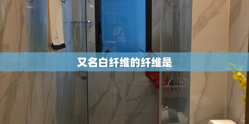 又名白纤维的纤维是