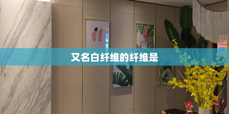 又名白纤维的纤维是