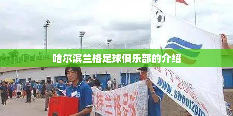 哈尔滨兰格足球俱乐部的介绍
