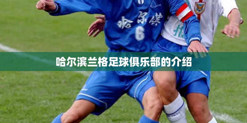 哈尔滨兰格足球俱乐部的介绍