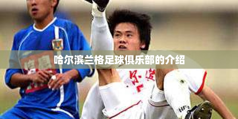 哈尔滨兰格足球俱乐部的介绍