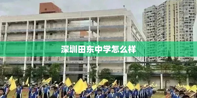 深圳田东中学怎么样