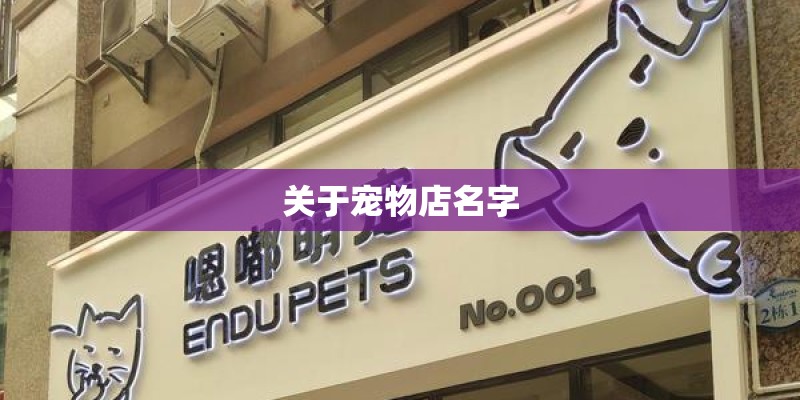 关于宠物店名字