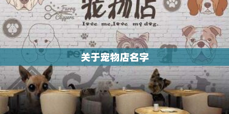 关于宠物店名字