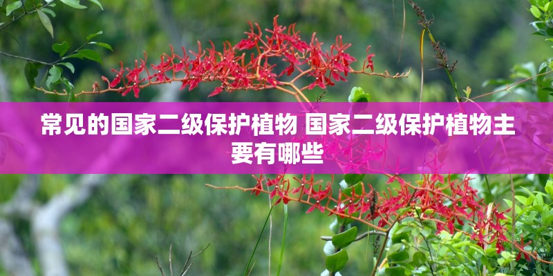 常见的国家二级保护植物 国家二级保护植物主要有哪些