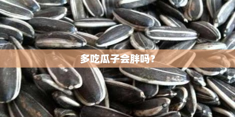 多吃瓜子会胖吗？