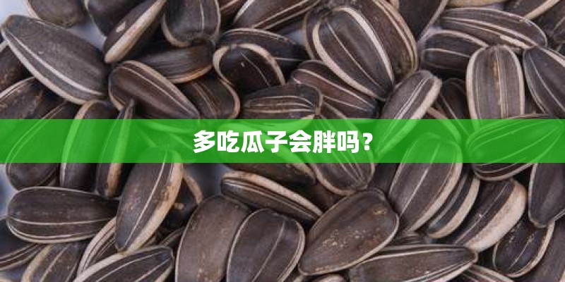 多吃瓜子会胖吗？