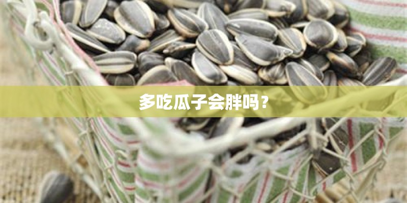 多吃瓜子会胖吗？