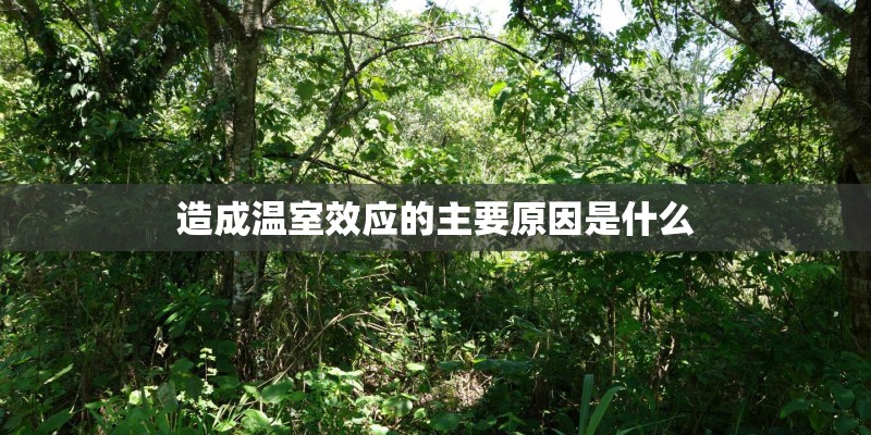 造成温室效应的主要原因是什么