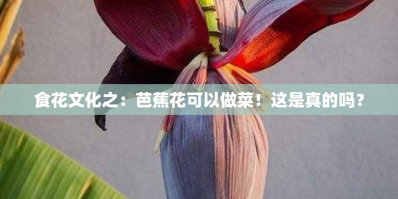 食花文化之：芭蕉花可以做菜！这是真的吗？