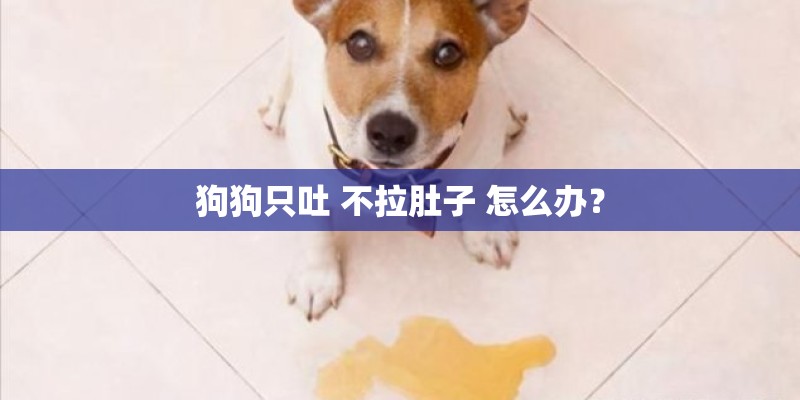 狗狗只吐 不拉肚子 怎么办？