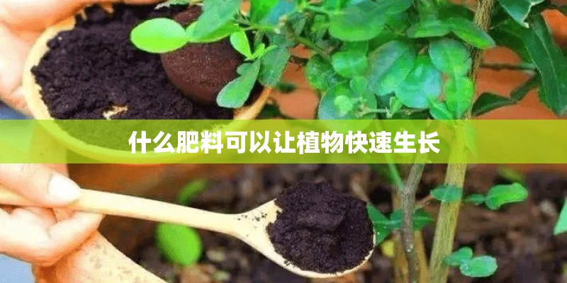 什么肥料可以让植物快速生长