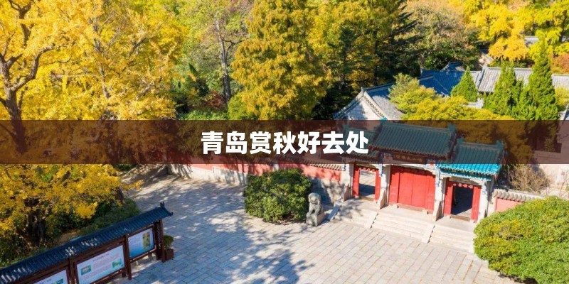 青岛赏秋好去处