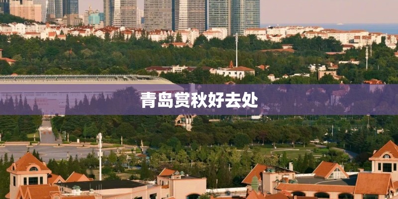 青岛赏秋好去处